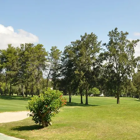 Between Golf And Apartment