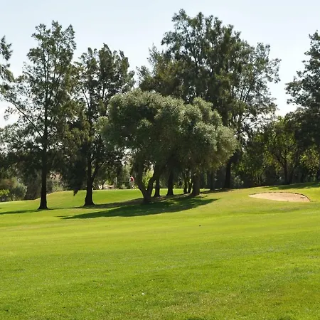 Between Golf And Apartment *